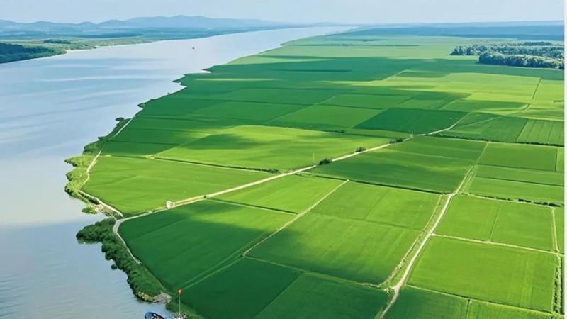 湖南省糧食和物資儲備科技活動周專刊：特沃斯（貴太太）集團“食用植物油關鍵技術突破及產業創新發展實踐—以貴太太甘二酯山茶油為例”